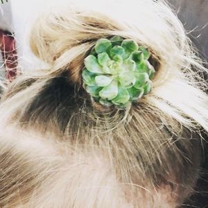 Fresh succulent rosette hair clip